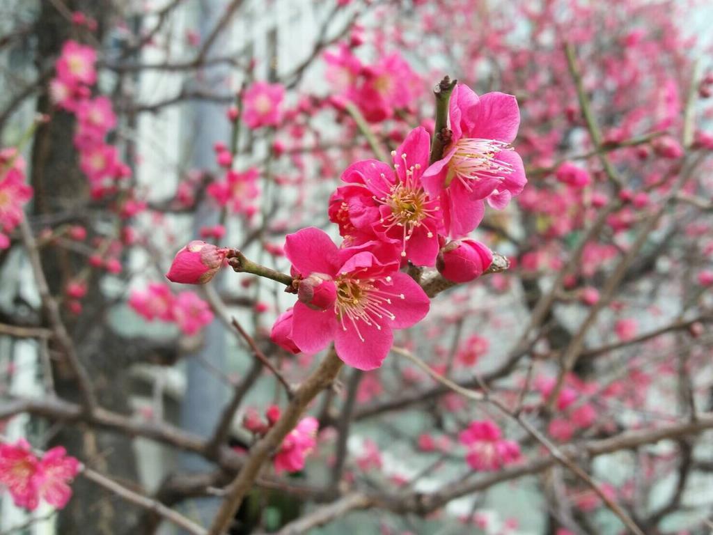 Hotel Sakura Osaka Ngoại thất bức ảnh